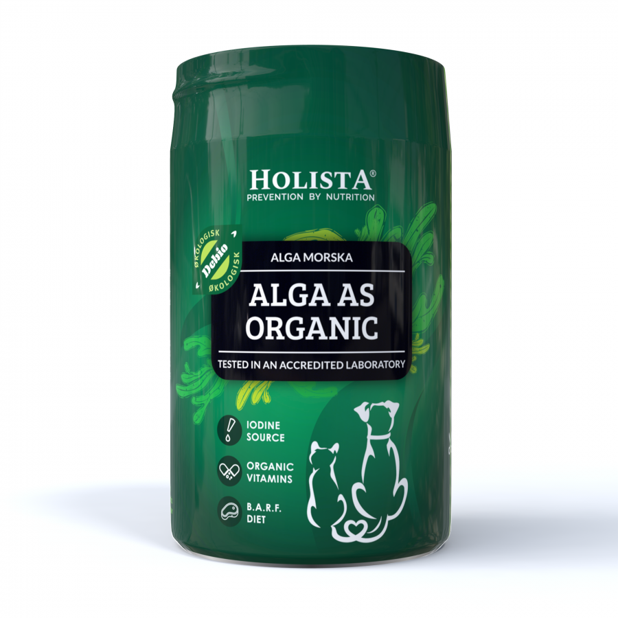 Alga morska w proszku