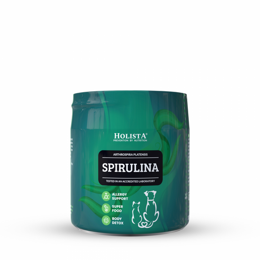 Spirulina w proszku